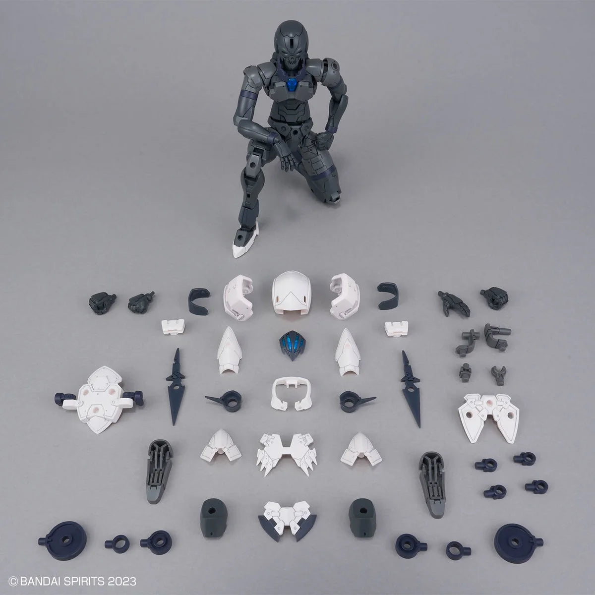 30MF ROSAN ASSASSIN - Silhouette, armes et pièces d'armure