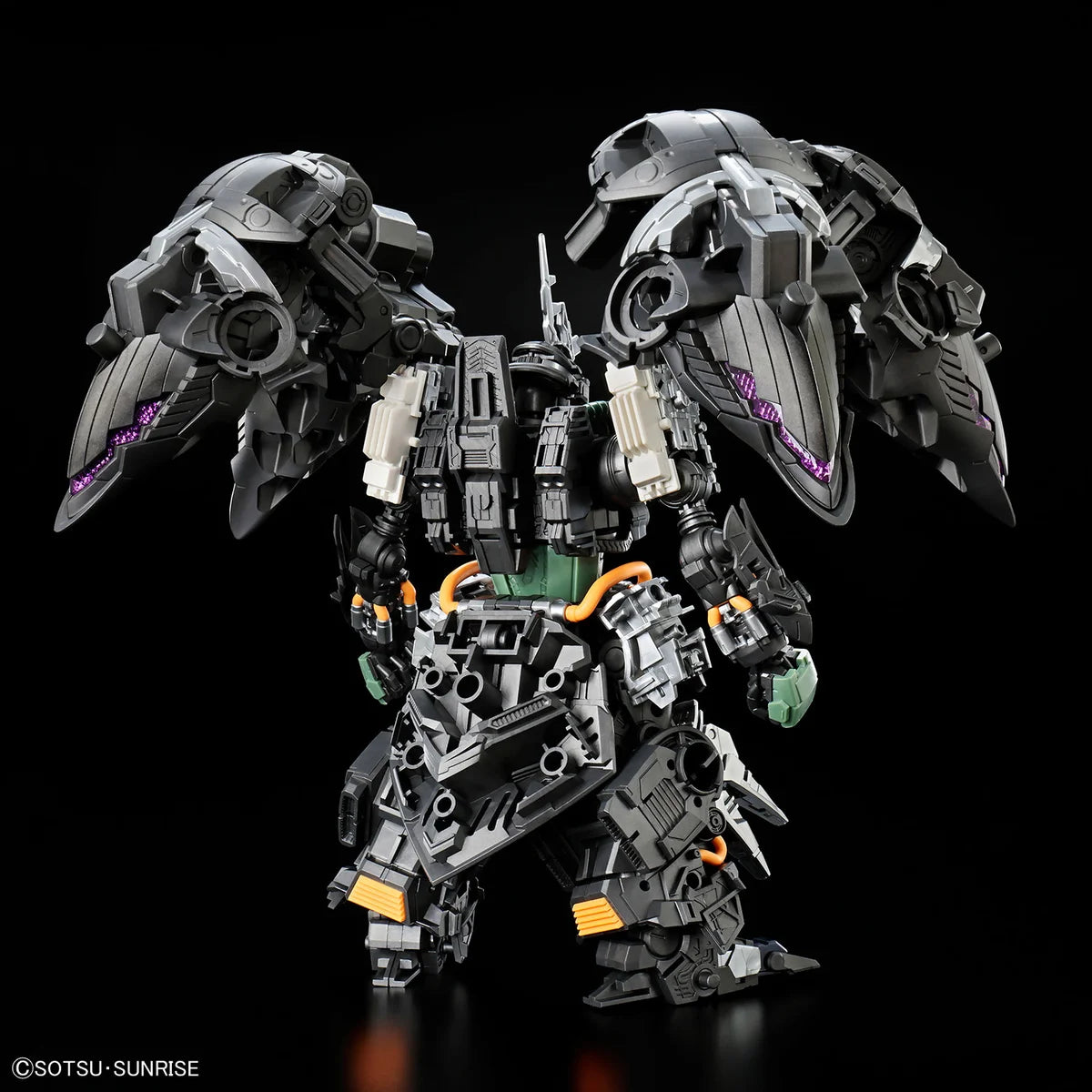 MGSD Kshatriya - Squelette interne - Vue de dos