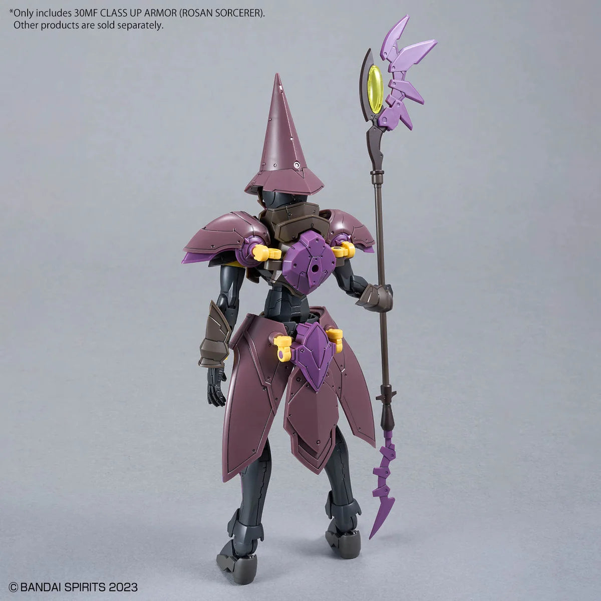 30MF CLASS UP ARMOR ROSAN SORCERER - Vue de dos
