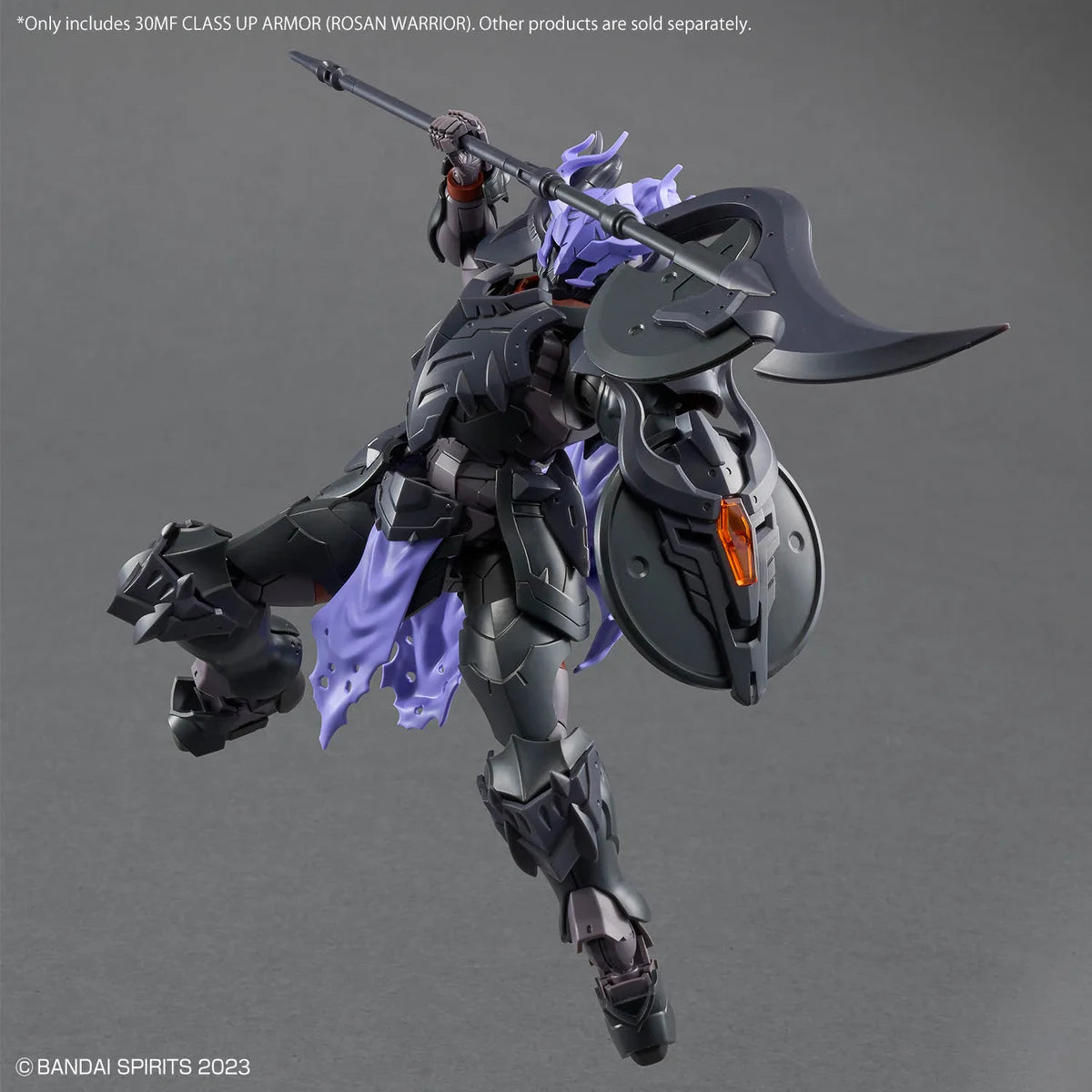 30MF CLASS UP ARMOR ROSAN WARRIOR  - Posing