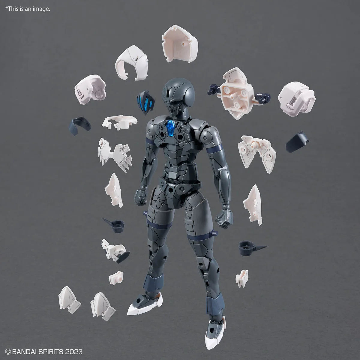 30MF ROSAN ASSASSIN - Silhouette et pièces d'armure