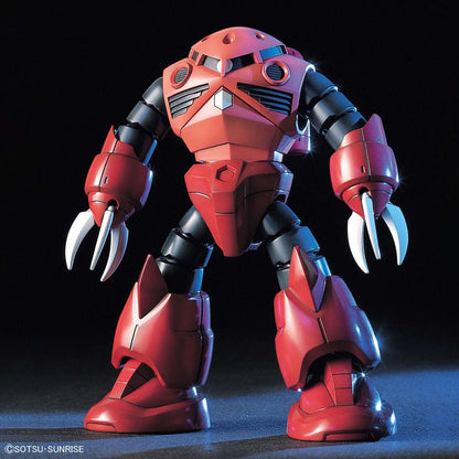 Gunpla HG Z'Gok Char's Custom - Vue de face